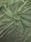 1 Yard Sage Green Glitter Sequin Mesh Fabric Confetti Tulle Polyester 42″ Wide